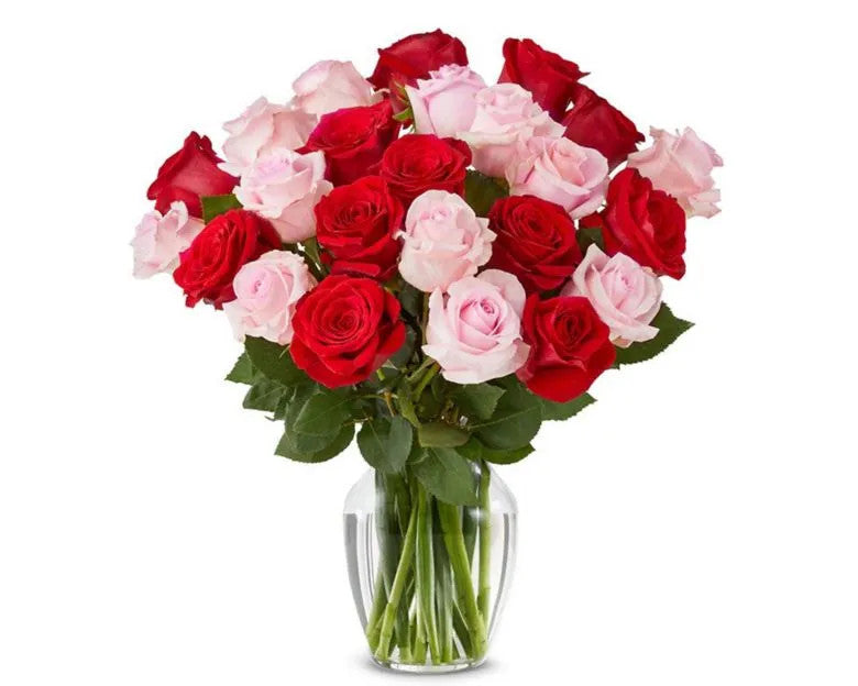 Two Dozen Red and Pink Roses